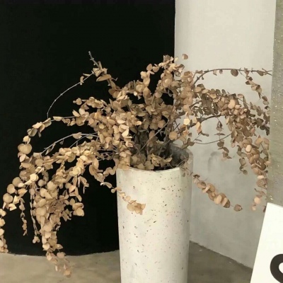 Furry绘画原创技巧兽圈社群